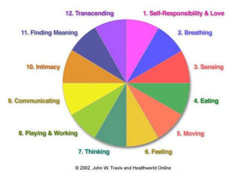 Personal Wellness wheel personal wellness wheel